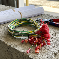 Kabel Harness Multi-warna Kustom dengan Terminal Spade Berinsulasi Merah untuk Sambungan Kabel Internal Peralatan Rumah Tangga
