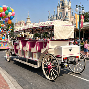 Carroza de Turismo de 4 Ruedas de Alta Resistencia, Fabricada en Hierro Forjado, para Zonas Turísticas, Bodas, Sesiones de Fotos y Exhibiciones - Product Image 1