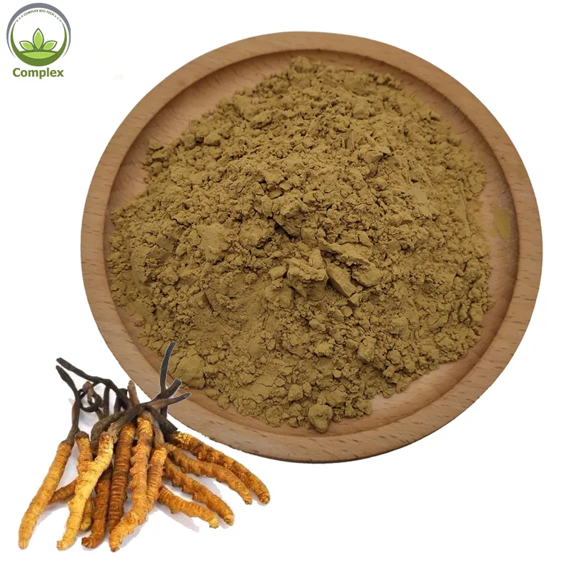 Заводская поставка, экстракт Кордицепса sinensis, экстракт Кордицепса militaris