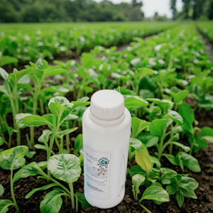 Fertilizante de calcio líquido para mango - Product Image 6