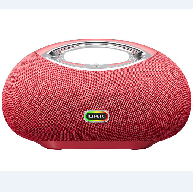 BKK New Release Private Mould Fashionable Design Blue Tooth Speaker With AURACAST Function and Removable Battery