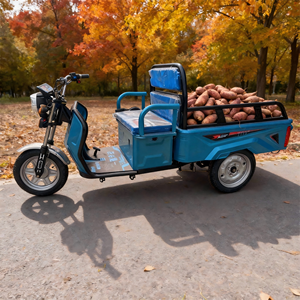 2026 Super Climbing 60V Tricycle for Adults Open Body Rickshaw Flat Space 200-300kg Payload 50-70km <b>Range</b> - Product Image 6