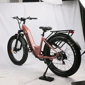 ENGWE Vélo électrique Dirt Bike rapide 750W \ 1500W 13Ah \ 35ah 48V Fat Tire avec prix de gros pour le nouvel an