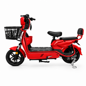 Bicicleta Dorada, Neumáticos Opcionales de 14/16 Pulgadas, Diseño de Gran Capacidad de Carga, Jinying de Largo Alcance Ofrece hasta 50 km de Autonomía por Carga para Exteriores - Product Image 4
