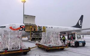 Special Direct Flight Air Freight <strong>Express</strong> to Almaty <strong>Next</strong> <strong>Day</strong> <strong>Delivery</strong> Available - Product Image 2