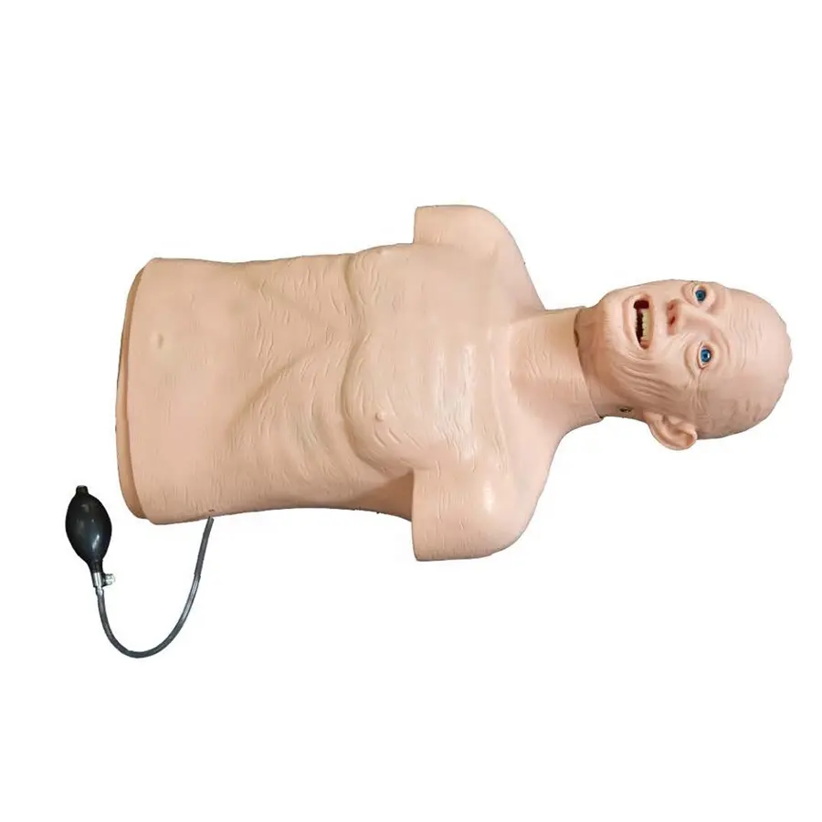 Mannequin d'entraînement rcp demi-corps (les personnes âgées), simulateur d'intubation buccale ou nasale et d'intubation œilvienne