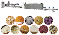 Machine de fabrication de riz artificiel, extrudeuse de riz instantané, ligne de production de riz fortifié, moteur, roulement, qualité alimentaire