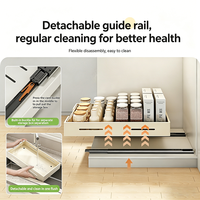 Égouttoir à vaisselle télescopique double niveau en acier inoxydable, support réglable extensible pour bols et assiettes
