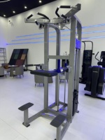 Máquina de Dominadas con Resistencia de Peso ROSEN Fitness, Equipo de Gimnasio para Ejercicios de Brazos, Máquina de Dip Asistida para Fisicoculturismo