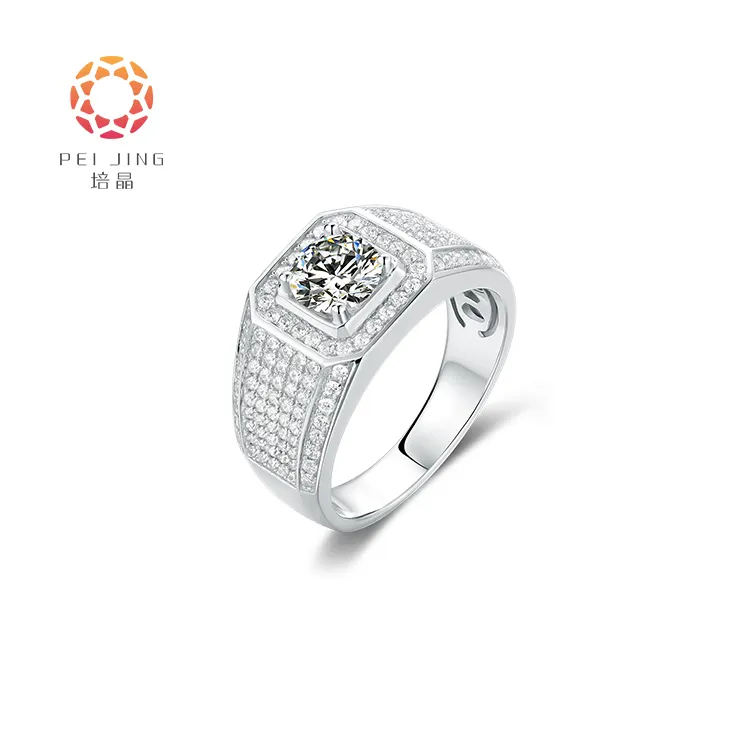 Elegant Lab Grown Diamond Ring 14k/18k White Gold Ring Men Diamond Eternity Ring For Men