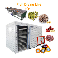 Complete gedroogde abrikozen productielijn, olijfdroger, dadelpalm droogmachine, fruitdehydrator