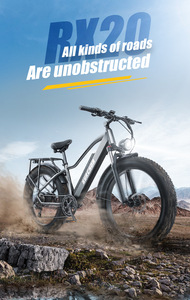 Vélo électrique de montagne personnalisé de haute qualité 800W/48V/20AH avec moteur à moyeu arrière, nouveau design, directement du fabricant chinois - Product Image 2