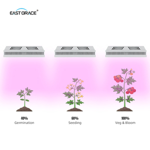 Lámpara de Cultivo LED Compacta Top1930E IP65 con Espectro UV IR de 800W 1200W, Reemplazo <span class=keywords><strong>1</strong></span>:<span class=keywords><strong>1</strong></span> de <span class=keywords><strong>HPS</strong></span> para Sistemas de Cultivo Vertical - Product Image 6