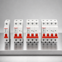 240 415V 50 60Hz 1P2P3P4P Mini Circuit Breaker MCB Dua Kutub 4.5kA 63A Pemutus Sirkuit Rumah Tangga CE CB PA66 IP20 IEC/EN 60898-1 Putih