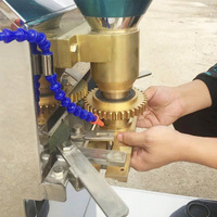 Mesin Pembuat Bakso Ikan Rendah Kebisingan Set Mesin Pembuat Bakso Ikan Filipina Mesin Pembuat Bakso Ikan Mini