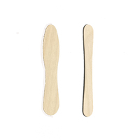 Bâtonnets de crème glacée jetables biodégradables en bois portables avec logo personnalisé - Outils écologiques pour la crème glacée