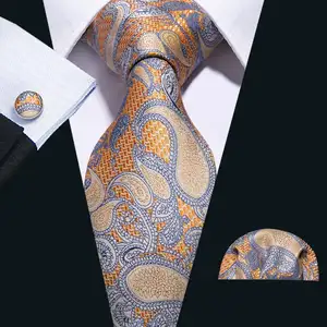 Kaliteli jakarlı lüks Mens bağları Paisley İtalyan ipek kravat setleri