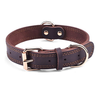 Collier pour chien en cuir véritable personnalisé économique avec boucle, style simple, rembourré, doublure en fourrure, motif uni, IPeti