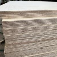 Contreplaqué de bouleau 100% personnalisé 12mm 18mm Contreplaqué laminé marin de qualité E0 4 * 8ft
