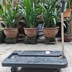 पुशकार्ट झेजियांग ट्रॉली ट्रॉली मजबूत रोलिंग रोलर पार्सल पैनल ग्रेविटी फिल्म वैगन सहायक पोर्टेबल ट्रॉली कार्ट - Product Image 1