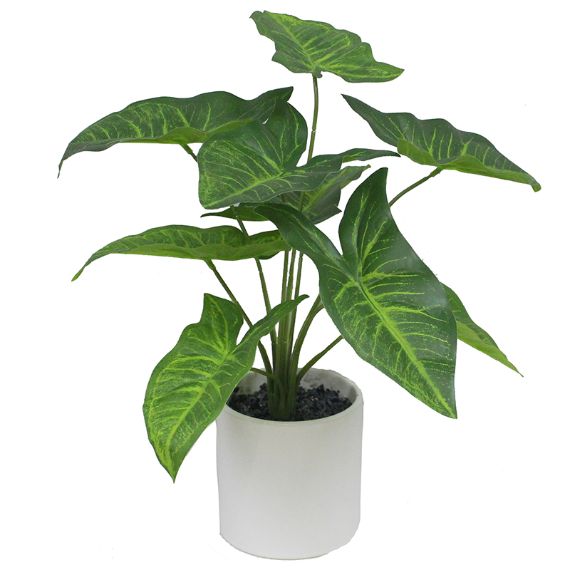 กองทัพสีเขียว