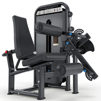 Machine de flexion/extension des jambes assise CZFIT - Construction en acier, pile de poids de 400 kg, entraîneur multifonction pour les jambes et le tronc