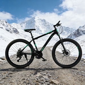 Vélo <span class=keywords><strong>VTT</strong></span> 29 <span class=keywords><strong>pouces</strong></span> à suspension intégrale, freins à disque, guidon ergonomique, pour hommes aventuriers, tout-terrain et exercice cycliste, best-seller - Product Image 4