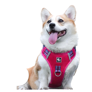 Luxury Style Reflective Breathable Sport Padded Dog <strong>Harness</strong> &amp; Lease Set Fashionable Polyester Pet Vest - Product Image 1
