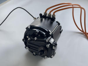 Kart électrique EY306 20KW <span class=keywords><strong>pour</strong></span> adultes, kits de moteur de course tout-terrain 72V-96V, <span class=keywords><strong>4</strong></span> <span class=keywords><strong>roues</strong></span>, 4x4, moteur de <span class=keywords><strong>chariot</strong></span> de golf électrique, buggy - Product Image 5