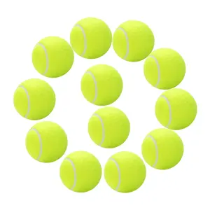 Günstigster profession eller Hersteller Tennisball hersteller Hochela tische Standard-Drucktraining-Tennisbälle