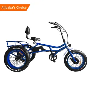 250W Vintage 750w Adult Tricycle Electric Trike 24 Inch 3 Wheel Electric Bike For Old People