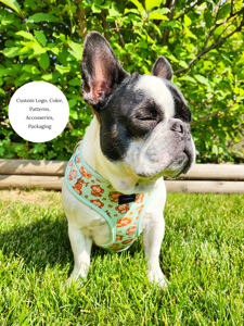 Lindo <span class=keywords><strong>mono</strong></span> verde Kawaii arnés para mascotas neopreno suave seguro y cómodo ajuste ajustable arnés para mascotas para perros pequeños a medianos - Product Image 3