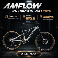 Amflow PR Carbon Pro 800WH 2026 1500W Puissance de pointe VTT électrique Dji EBike Moteur Avinox M2S Amflow PX 800 Wh VTT électrique