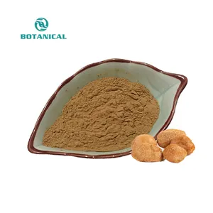 Extrato de cogumelo Chaga natural 8:1 10:1 Lions Mane em pó para fornecimento por atacado B.C.I