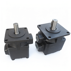 Bomba de paletas de hierro fundido YB-D, bombas hidráulicas de alta resistencia para sistemas hidráulicos de máquinas herramienta - Product Image 1