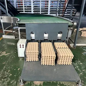 30 furos bandeja do ovo que faz a máquina fabricante com bandeja do ovo embalagem máquina produção máquina bandeja do ovo para o supermercado