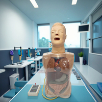 Modèle de mannequin d'entraînement à trois chambres et à deux capsules, modèle d'entraînement pour l'examen de la prostate