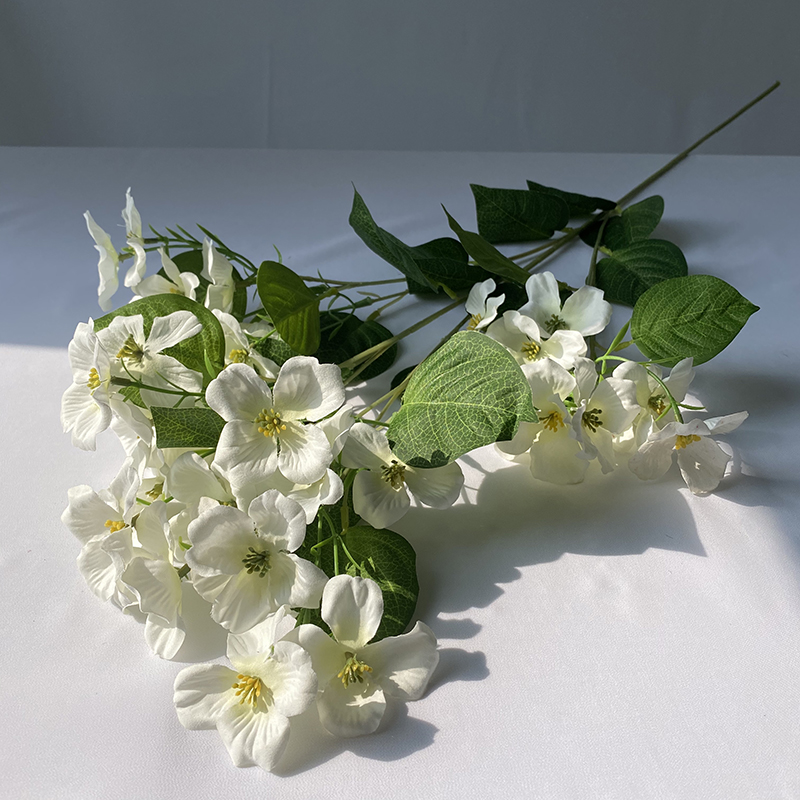 blanc laiteux