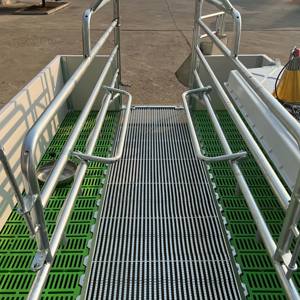 Nuove Gabbie per Suini di Design Popolare per Allevamenti e Riproduzione Animale - Product Image 4