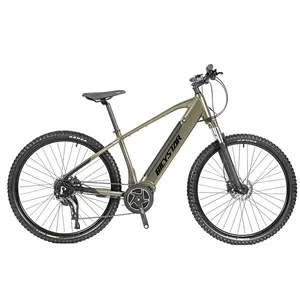 Sepeda Listrik 1000W Sepeda Gunung Listrik dengan Baterai Tersembunyi E Sepeda Rangka 26 Inci Sepeda Listrik