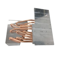 Module de dissipateur thermique à caloducs haute puissance pour équipement industriel