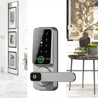 Tanpa kunci Keypad pintar kunci sandi lidah baut tunggal tahan air untuk Hotel Apartemen harga pabrik konektivitas WiFi untuk kaca