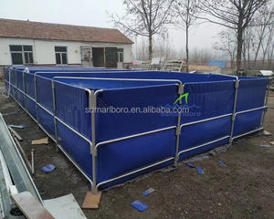 Système de pisciculture hors sol <span class=keywords><strong>pour</strong></span> l'aquaculture et les légumes Recirculation Biofloc Tarpaulin Fish Pond Tanks Equipment - Product Image 5
