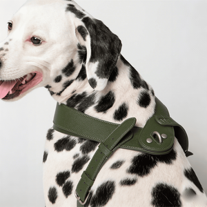 ชุดสายจูงสัตว์เลี้ยงสุดหรูเสื้อกั๊กบูลด็อกแบบฝรั่งเศสชุดสายรัดหนังแบบดึงเพื่อความปลอดภัยอุปกรณ์เสริมสุนัขขนาดใหญ่และขนาดเล็ก - Product Image 5