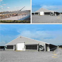 10000 élevage de poulets ferme avicole usine Structure en acier bâtiment ventiler Construction hangar Coop Cages ferme polyvalente