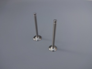 Juego de Válvulas de Admisión y Escape para Robin <span class=keywords><strong>EX13</strong></span> EX17 EX27 EX35 EX40 - Product Image 1