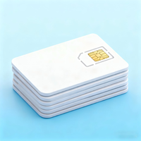 Tarjeta SIM M2M global para rastreador GPS Datos SIM para revendedores | Long Standby admite PROYECTOS DE rastreador GPS