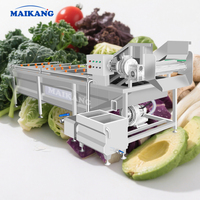 Máquina Automática de Lavado de Mariscos, Patatas, Carne, Camarones, Caracoles, Pescado y Ostras con Ahorro de Agua