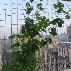 Rouleaux de treillis soudé galvanisé personnalisables, barres d'armature/acier/inox pour clôture agricole, clôture de ferme, treillis de corde, découpe, pliage - Product Image 3