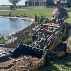 Aksesoris Mesin Pemotong Rumput/Pencacah Semak untuk Derette 450 Micro Skid Steer Loader Mini Loader Pump Core Model Terbaru 2024 Buatan Cina - Product Image 3